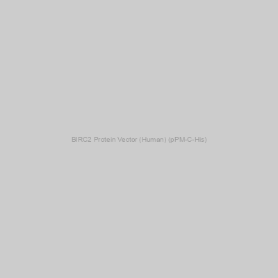 BIRC2 Protein Vector (Human) (pPM-C-His)